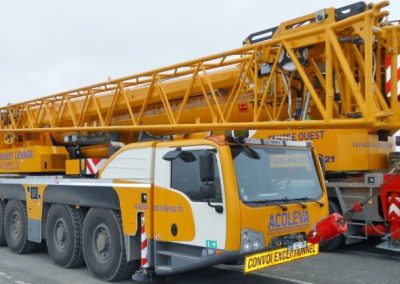 Grue de levage 100 T