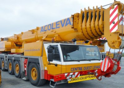 Grue de levage 220 T