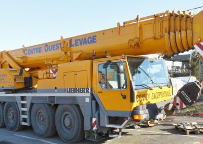 Grue de levage 80 T